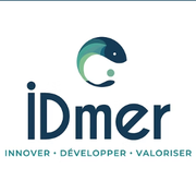 iDmer